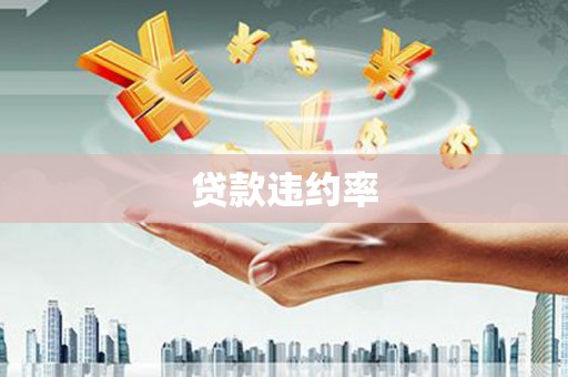 静宁贷款违约率