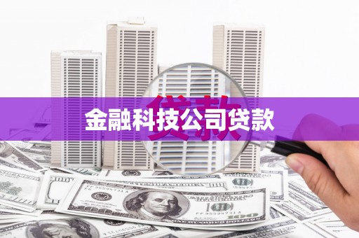 静宁金融科技公司贷款