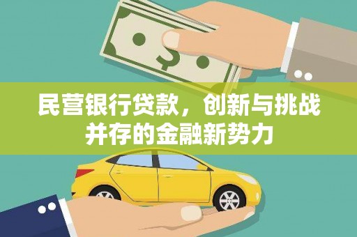 静宁民营银行贷款，创新与挑战并存的金融新势力