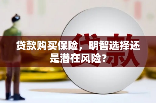 静宁贷款购买保险，明智选择还是潜在风险？