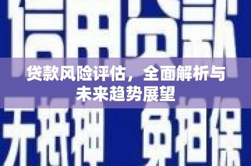 静宁贷款风险评估，全面解析与未来趋势展望