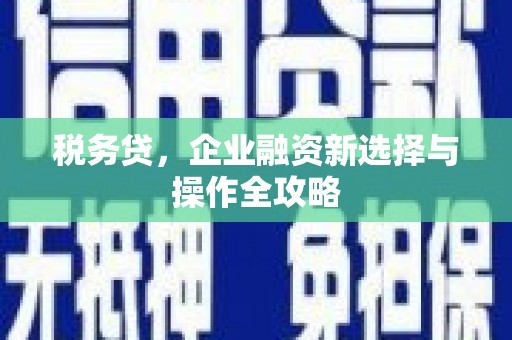静宁税务贷，企业融资新选择与操作全攻略