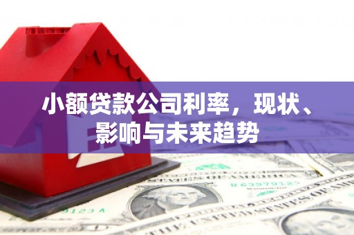 静宁小额贷款公司利率，现状、影响与未来趋势