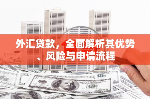 静宁外汇贷款，全面解析其优势、风险与申请流程