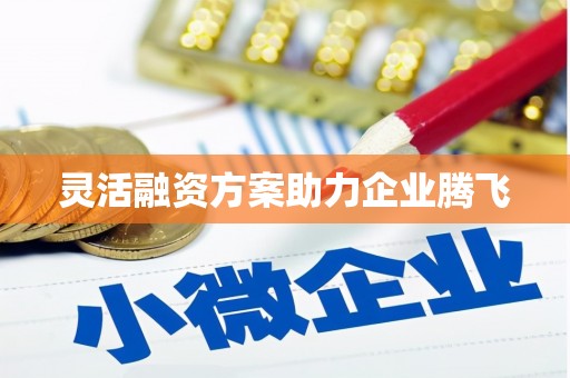 静宁灵活融资方案助力企业腾飞