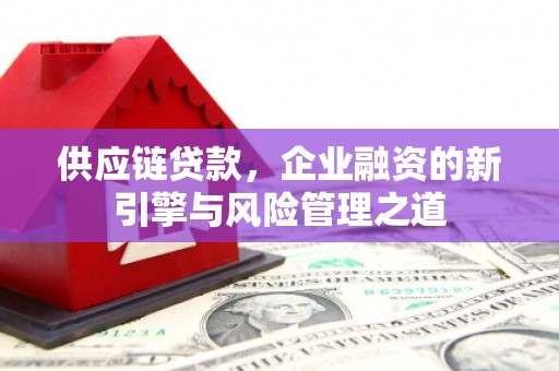 静宁供应链贷款，企业融资的新引擎与风险管理之道