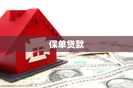 静宁保单贷款