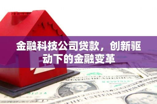 静宁金融科技公司贷款，创新驱动下的金融变革