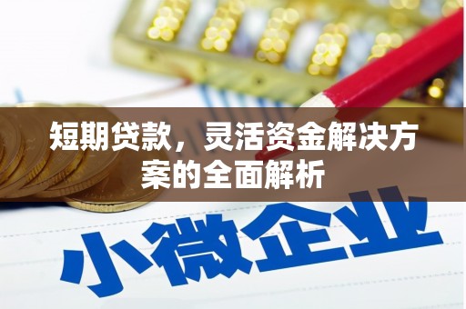 静宁短期贷款，灵活资金解决方案的全面解析