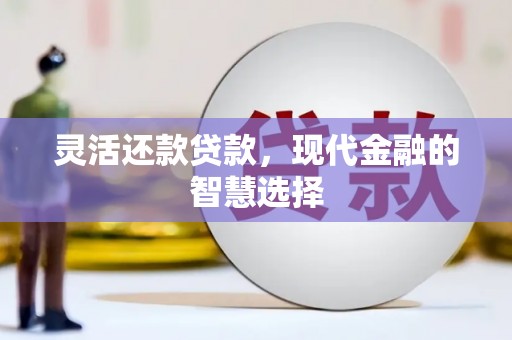 静宁灵活还款贷款，现代金融的智慧选择