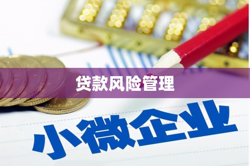 静宁贷款风险管理