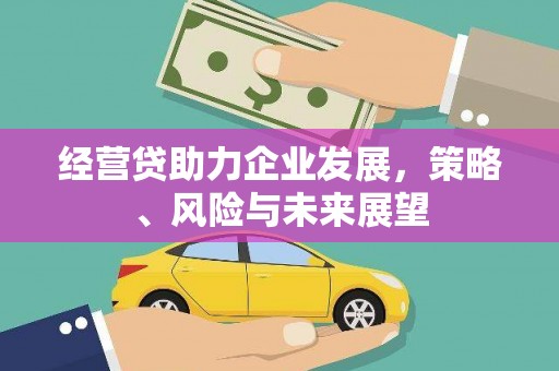 静宁经营贷助力企业发展，策略、风险与未来展望