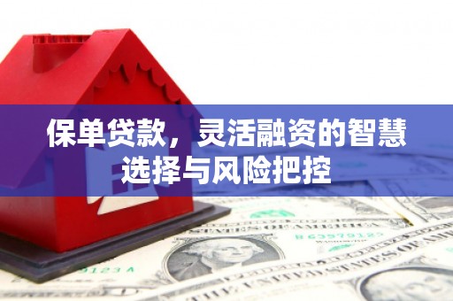 静宁保单贷款，灵活融资的智慧选择与风险把控