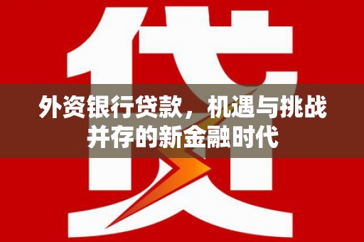 静宁外资银行贷款，机遇与挑战并存的新金融时代