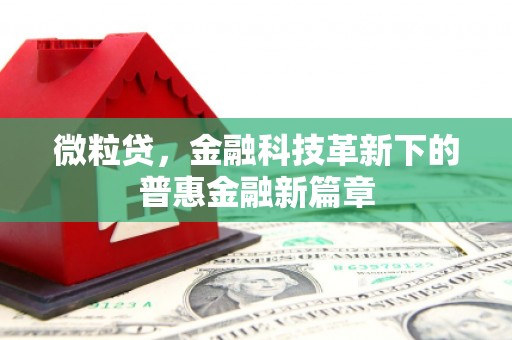 静宁微粒贷，金融科技革新下的普惠金融新篇章