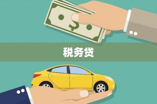 静宁税务贷
