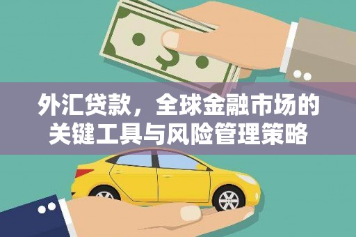 静宁外汇贷款，全球金融市场的关键工具与风险管理策略