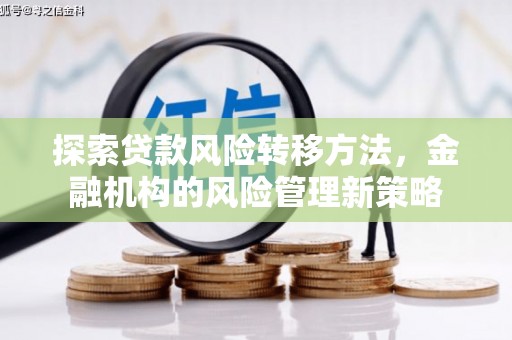 静宁探索贷款风险转移方法，金融机构的风险管理新策略