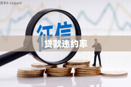 静宁贷款违约率