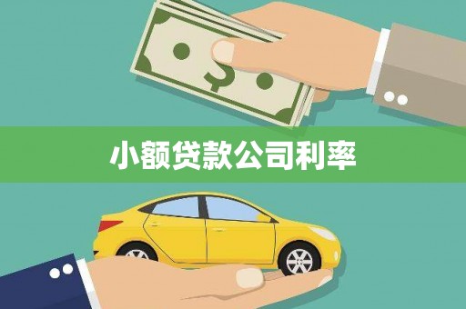 静宁小额贷款公司利率