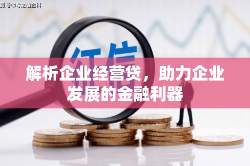 静宁解析企业经营贷，助力企业发展的金融利器