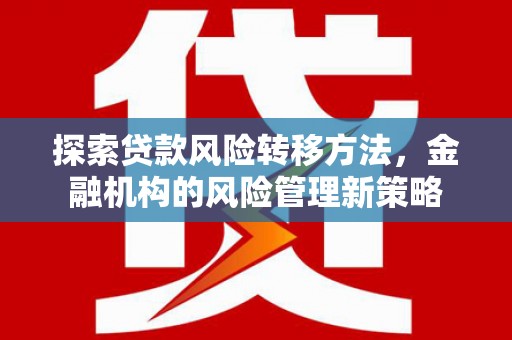 静宁探索贷款风险转移方法，金融机构的风险管理新策略
