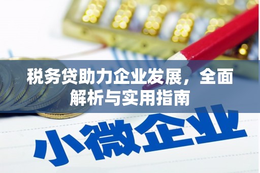 静宁税务贷助力企业发展，全面解析与实用指南