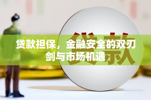 静宁贷款担保，金融安全的双刃剑与市场机遇
