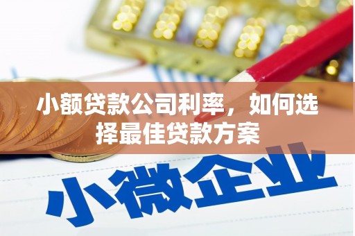 静宁小额贷款公司利率，如何选择最佳贷款方案
