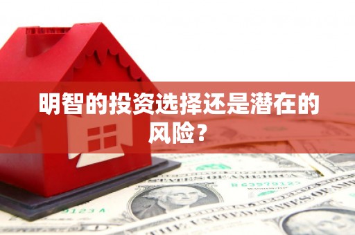 静宁明智的投资选择还是潜在的风险？