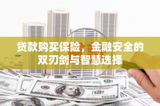 静宁贷款购买保险，金融安全的双刃剑与智慧选择