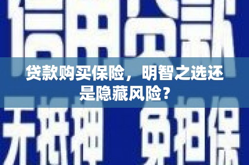 静宁贷款购买保险，明智之选还是隐藏风险？