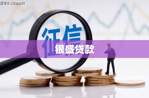 静宁银盛贷款