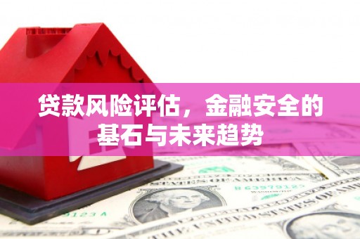 静宁贷款风险评估，金融安全的基石与未来趋势