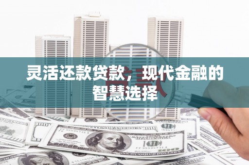 静宁灵活还款贷款，现代金融的智慧选择