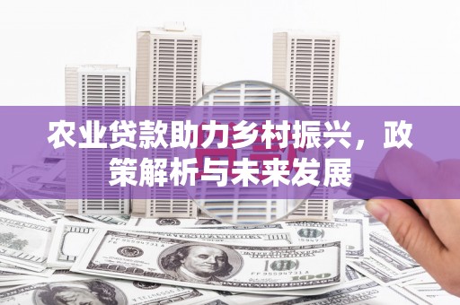 静宁农业贷款助力乡村振兴，政策解析与未来发展