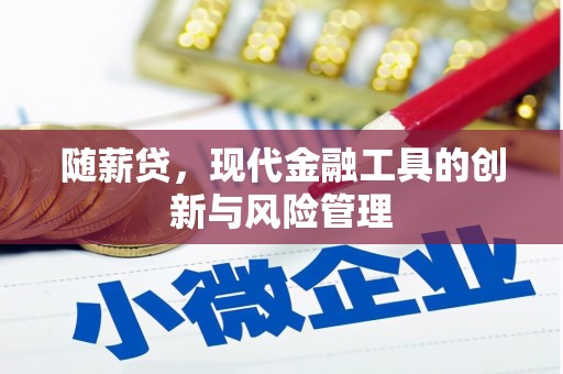 静宁随薪贷，现代金融工具的创新与风险管理