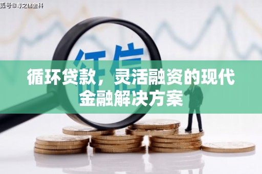 静宁循环贷款，灵活融资的现代金融解决方案