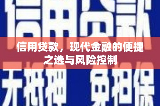 静宁信用贷款，现代金融的便捷之选与风险控制