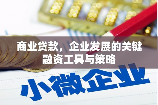 静宁商业贷款，企业发展的关键融资工具与策略