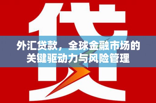 静宁外汇贷款，全球金融市场的关键驱动力与风险管理