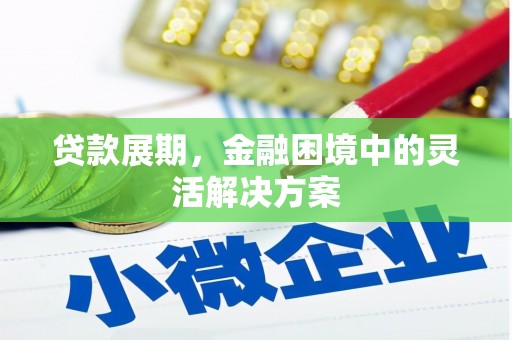 静宁贷款展期，金融困境中的灵活解决方案