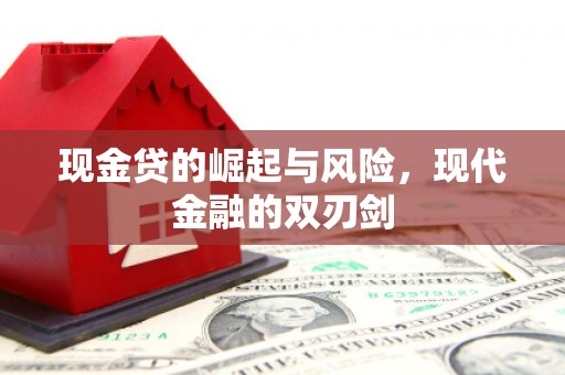 静宁现金贷的崛起与风险，现代金融的双刃剑