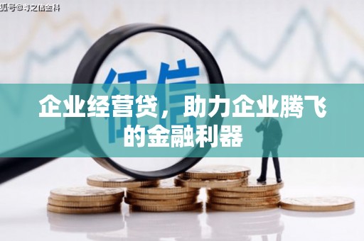 静宁企业经营贷，助力企业腾飞的金融利器
