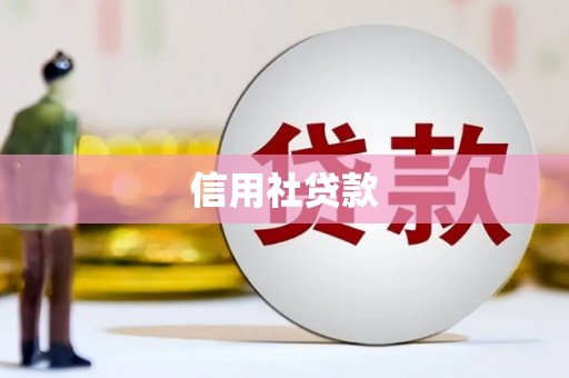 静宁信用社贷款