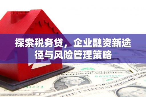 静宁探索税务贷，企业融资新途径与风险管理策略