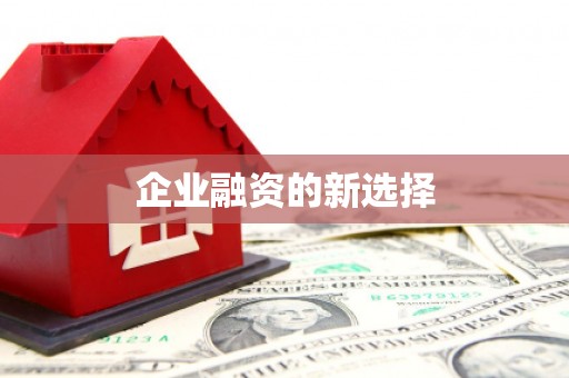 静宁企业融资的新选择