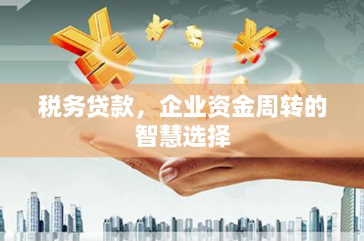 静宁税务贷款，企业资金周转的智慧选择