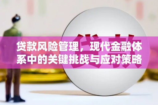 静宁贷款风险管理，现代金融体系中的关键挑战与应对策略