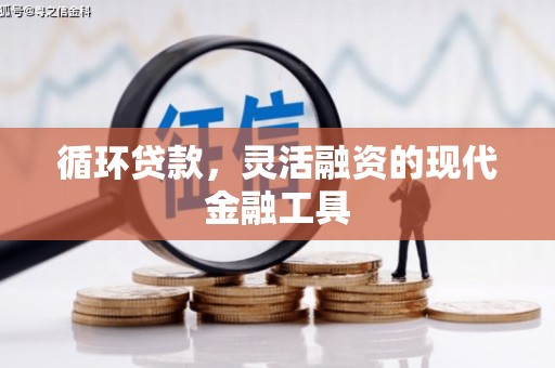 静宁循环贷款，灵活融资的现代金融工具